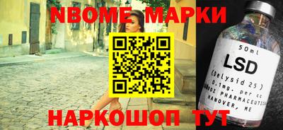 прущие грибы Будённовск
