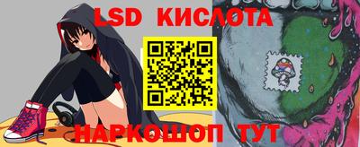 прущие грибы Будённовск