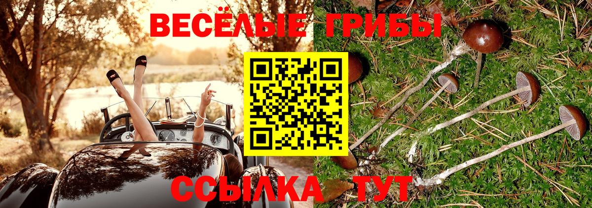 Псилоцибиновые грибы мухоморы Муром